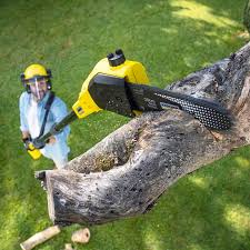 Best Lawn Maintenance Plans  in Troy, MO